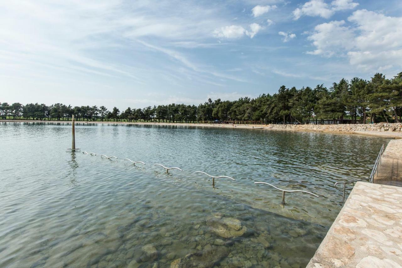 Casa Flora 3-Minutes' Walk From The Beach Novigrad  Zewnętrze zdjęcie